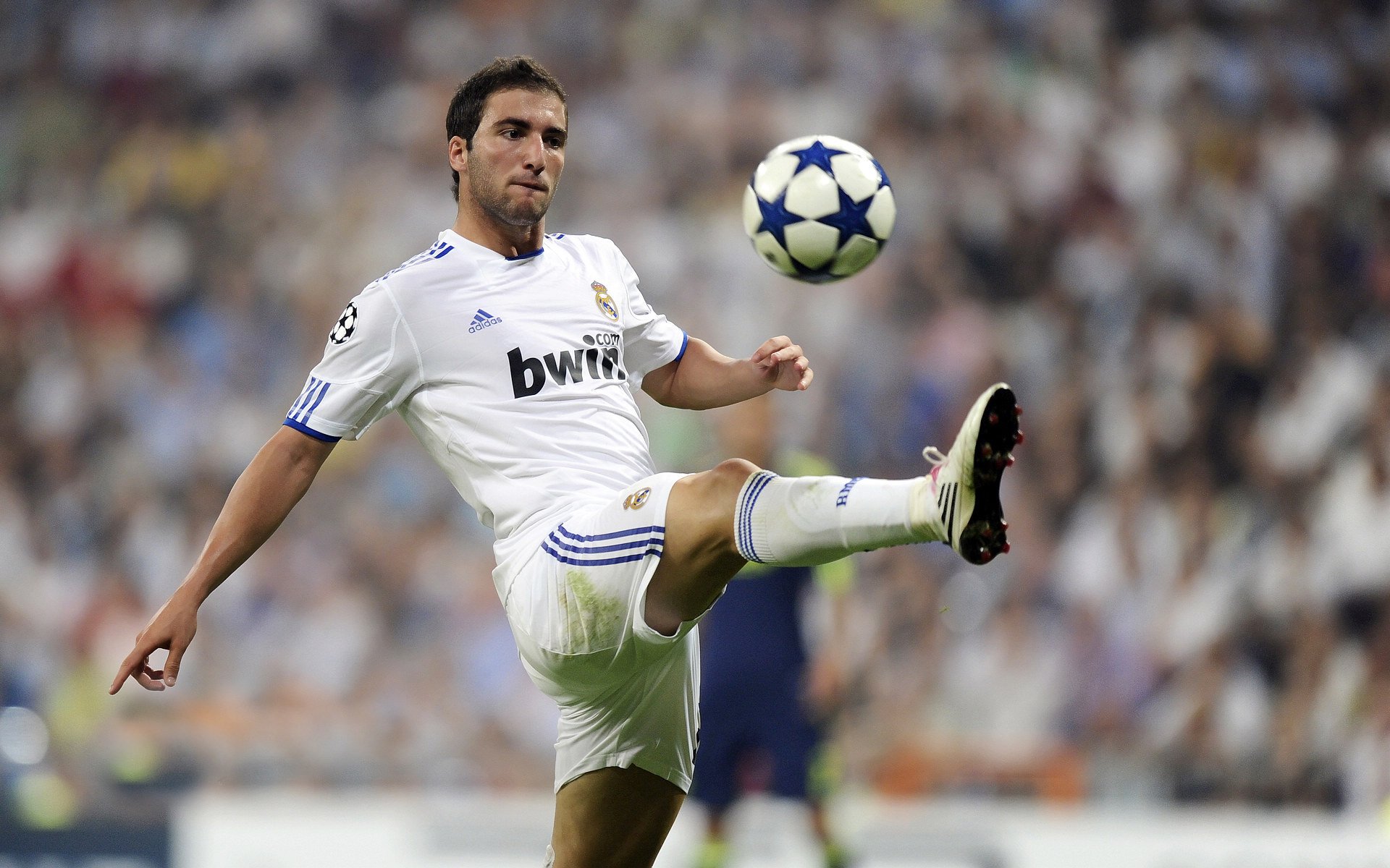 卡迪夫城进攻多样，蓝鸟军团期待胜利，卡迪夫蓝调风格